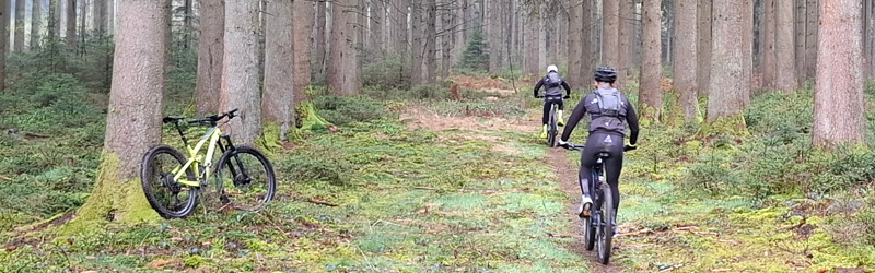 VTT - Anloy