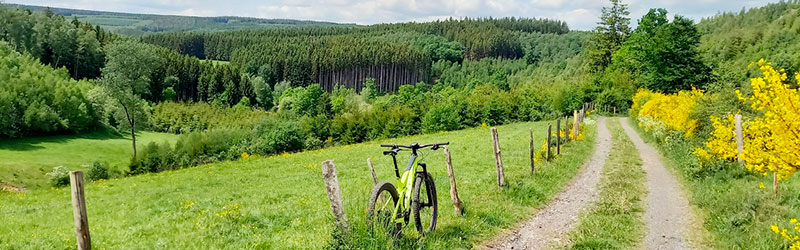 VTT - Baraque de Fraiture